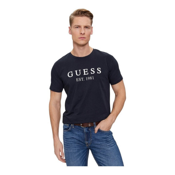 Футболка мужская Guess U4RI22K6YW0G7V2