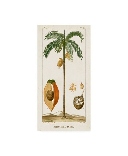 Turpin Turpin Exotic Palms V Canvas Art - 15" x 20"