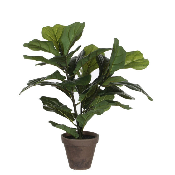 Kunstpflanze Ficus Lyrata