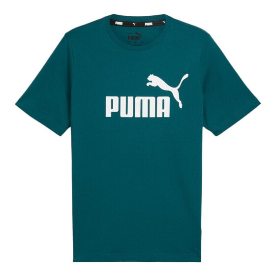 Puma 58666708