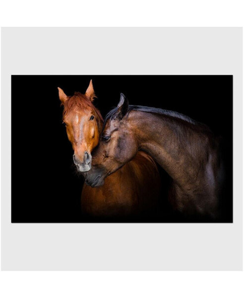 Horses Caressing Acrylic Wall Art (32 H X 48 W)