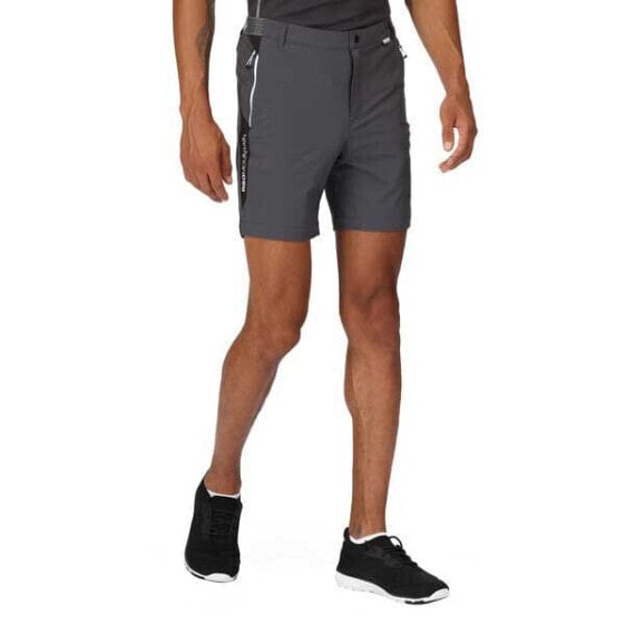 REGATTA Mountain II Shorts