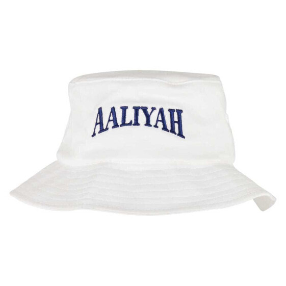 MISTER TEE Aaliyah Logo hat