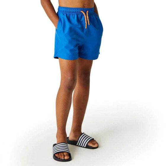 REGATTA Skander III Swimming Shorts