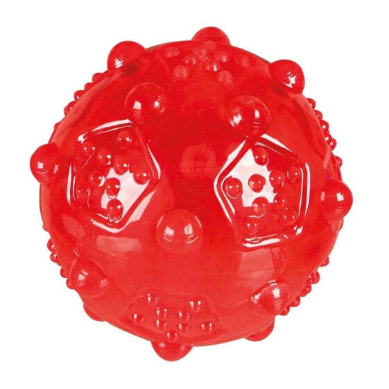 TRIXIE Term Ball Toy