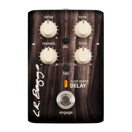 L.R.Baggs Align Delay