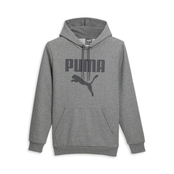 Puma Framed Up Pullover Hoodie Mens Grey Casual Outerwear 67807303