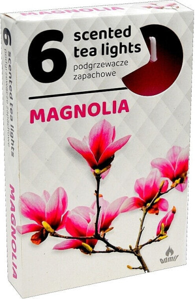 Teelichter Magnolie 6 St.