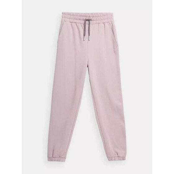 Trousers 4F W 4FSS23TTROF148-83S