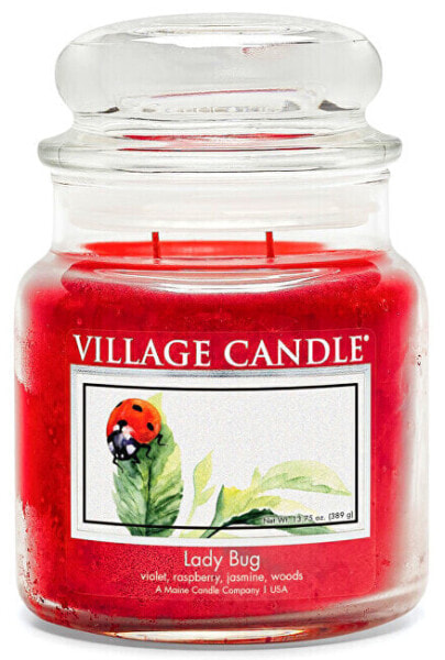 Scented candle in glass Ladybug (Lady Bug) 389 g