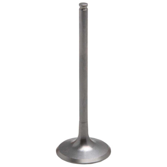 KIBBLEWHITE 80-82316T Exhaust Valve