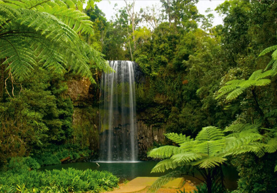 Fototapete Wasserfall