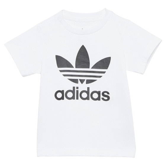 ADIDAS ORIGINALS Trefoil short sleeve T-shirt