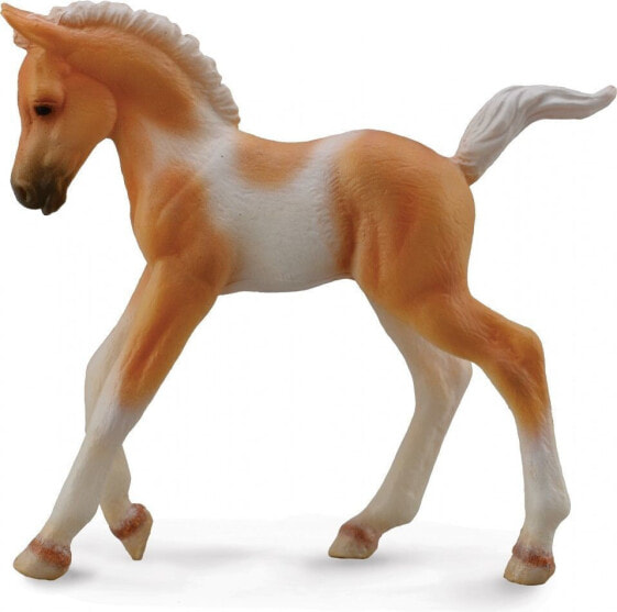 Figurka Collecta Źrebię Pinto Foal Walking Palomino (004-88668)