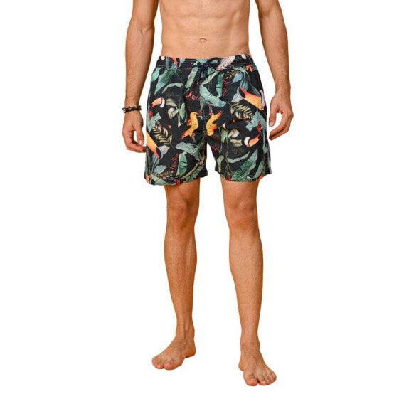 HAPPY BAY Take me to Macaw swimming shorts