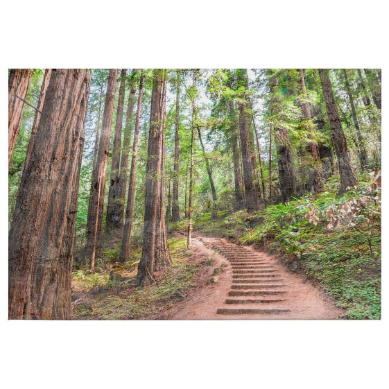 Leinwandbild Forest Walk