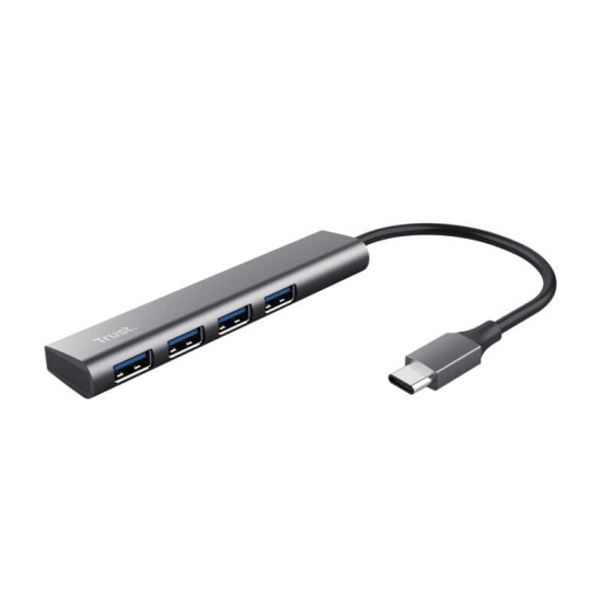 Trust Halyx - USB 3.2 Gen 1 (3.1 Gen 1) Type-A - USB Type-C - 5 Mbit/s - Grey - Power - 0.1 m