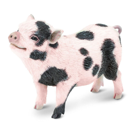 SAFARI LTD Pot–Bellied Pig Figure