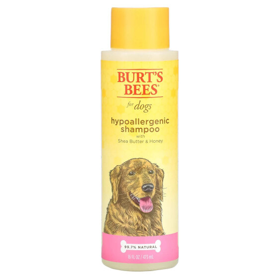 Hypoallergenic Shampoo for Dogs with Shea Butter & Honey, 16 fl oz (473 ml)