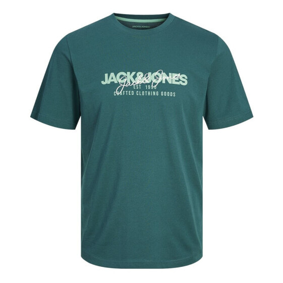 JACK & JONES Alvis short sleeve T-shirt