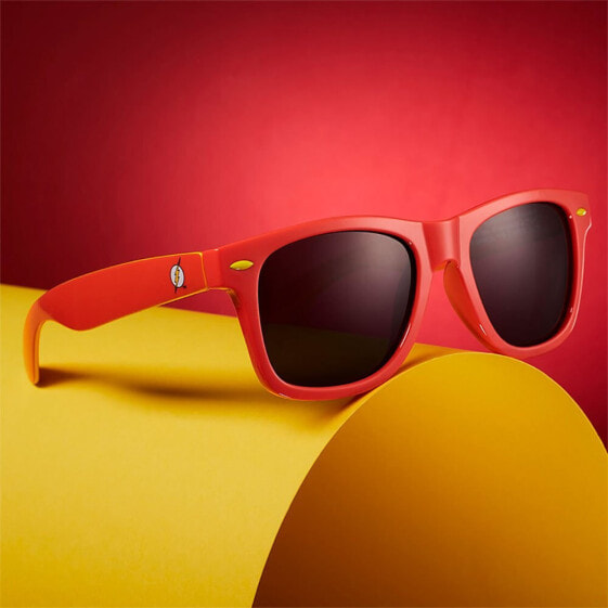 DC COMICS Flash Sunglasses