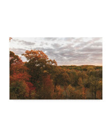 Trademark Global kurt Shaffer Photographs Colors of Autumn at Sunset Canvas Art - 27