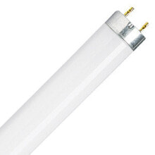 Лампочки Osram Active Daywhite люминисцентная лампа 58 W G13 A 336787