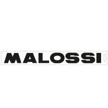  Malossi