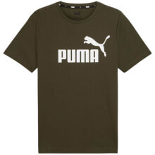  PUMA