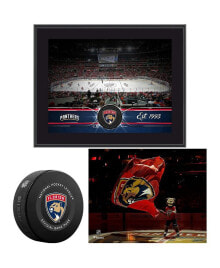 Fanatics Authentic florida Panthers Young Collectors Bundle - Includes Team Stadium 10.5