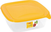 Containers and lunch boxes