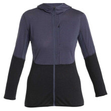 Купить толстовки Icebreaker: ICEBREAKER Merino 200 Realfleece Descender full zip fleece