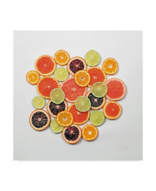 Trademark Global felicity Bradley Sunny Citrus Ii Crop Canvas Art - 20