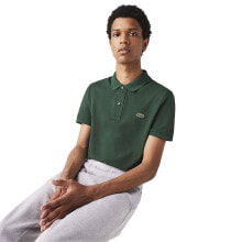 Lacoste Sportswear, shoes and accessories