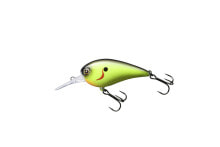 Baits and jigs for fishing