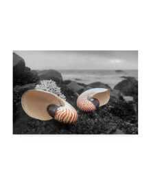 Trademark Global alan Blaustein Crescent Beach Shells 2 Canvas Art - 15.5