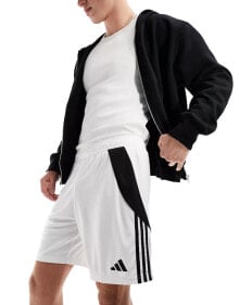 Men's Sports Shorts