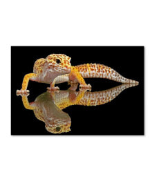 Trademark Global dikky Oesin 'Leopard Gecko' Canvas Art - 19