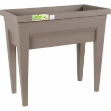 Planter EDA Vegetables Seed tray Taupe 73 x 38,5 x 68 cm