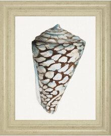 Modern Shell With Teal Il by Patricia Pinto Framed Print Wall Art - 22