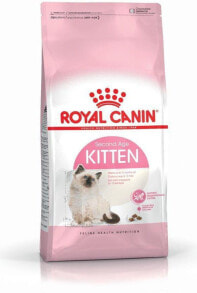 Сухие корма для кошек royal Canin Kitten 0,4 kg