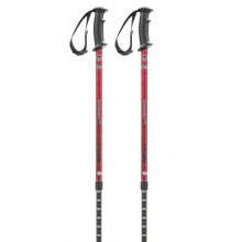 Ski poles