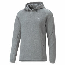 Men’s Hoodie Puma Evostripe Grey