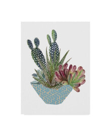 Trademark Global melissa Wang Cactus Arrangement I Canvas Art - 20