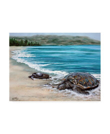 Trademark Global patrick Sullivan 2 Turtles Canvas Art - 27
