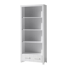 Shelving and bookcases for schoolchildren