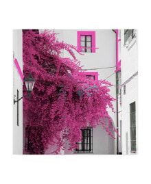 Товары для дома philippe Hugonnard Made in Spain 3 Pink Tree in Seville Canvas Art - 15.5" x 21"