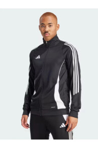 Мужские спортивные куртки Adidas (Адидас)