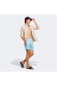 Men's swimming trunks and shorts