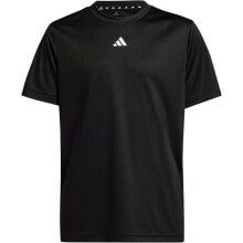 Men's sports T-shirts and T-shirts